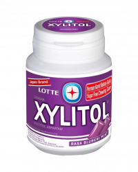 Lotte Xylitol Blueberry Mint Chewing Gum 55.1G